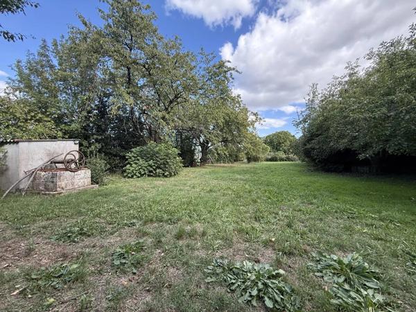 PIED PIED avec 4600m² Terrain bien arboré