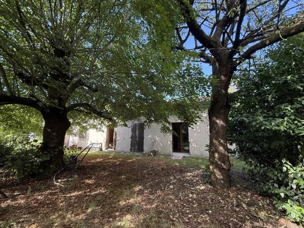 PIED PIED avec 4600m² Terrain bien arboré