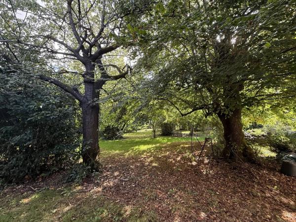 PIED PIED avec 4600m² Terrain bien arboré