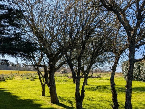 Ancien Corps de ferme avec vue sur Les Monts d'Arrée et la mer