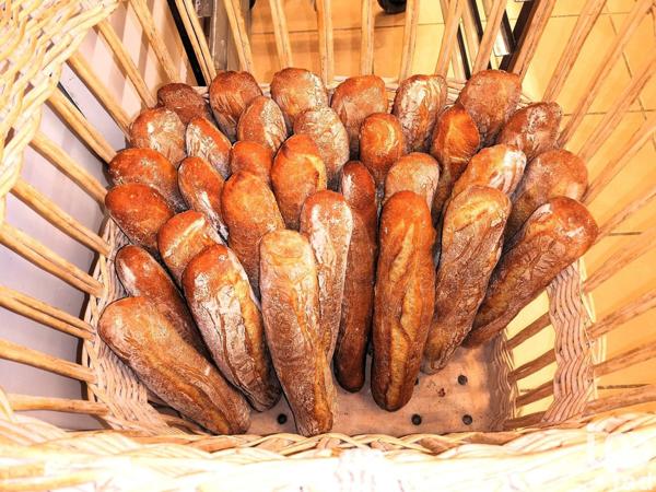 Boulangerie à vendre 178 m² Quimper