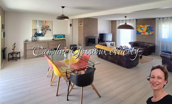 Maison 12 pièces - 220 m² Bien prestige