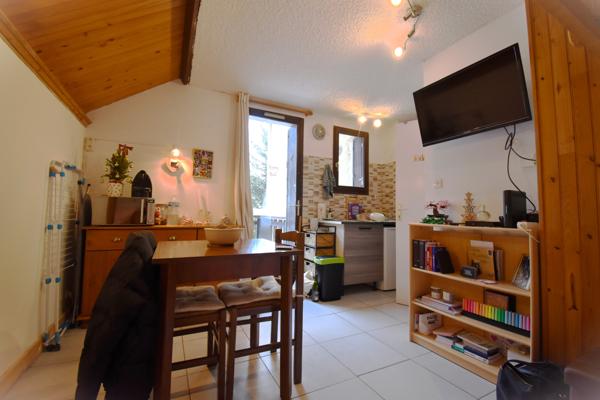 Studio 17m² meublé vue montagnes, avec balcon et cave, idéal investissement,stationnement, proche centre ville