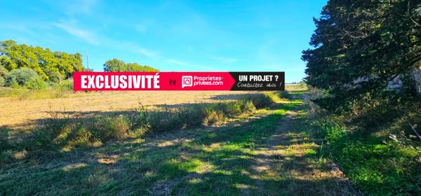 Terrains agricoles à  Elne  d'une superficie totale de 29 154 m2