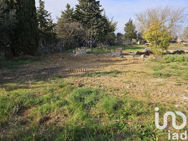 Terrain à vendre 1 000 m² Ferrals-les-Corbières