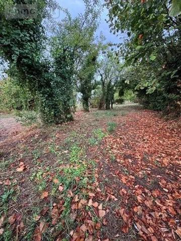 Achat - Terrain à bâtir | Terrain à bâtir Lignières 18160 1824 m 2