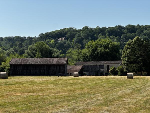 Maison à vendre à Pineuilh (33220) - Gironde