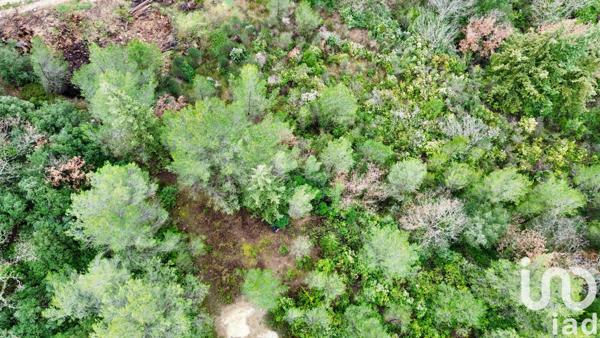 Terrain à vendre 18 922 m² Auriol