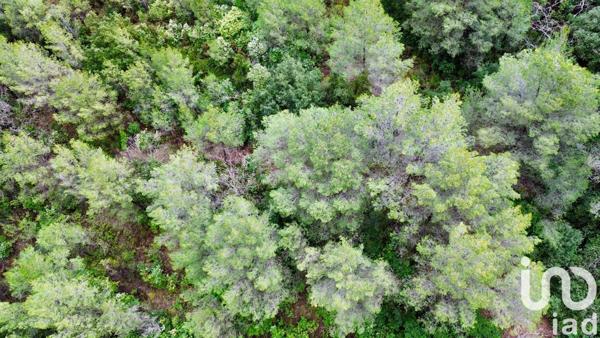 Terrain à vendre 18 922 m² Auriol