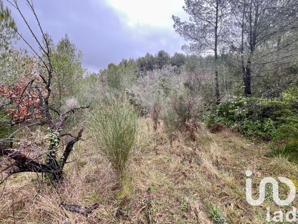 Terrain à vendre 18 922 m² Auriol