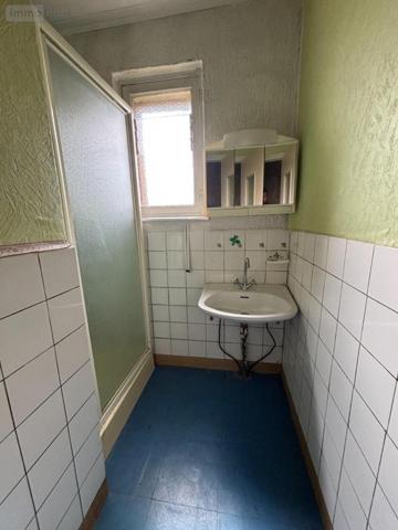 Maison à vendre à Mandeure dans le Doubs (25350), ref : 25054-1864