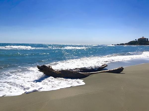 Appartement T3 ,Un cocon serein dans une résidence les pieds dans l'eau
