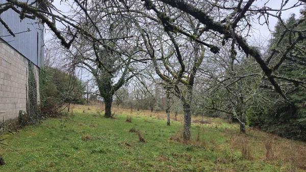 Maison à vendre |  Masseret |  4 pièces | 82 m²