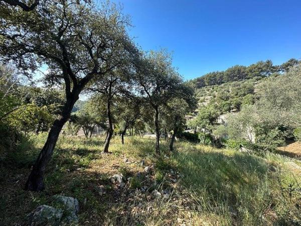 MAGNIFIQUE TERRAIN VUE MER