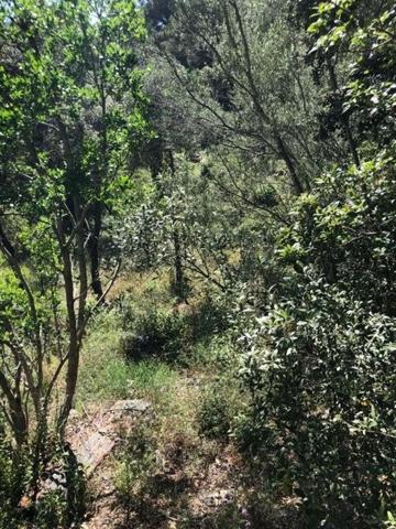 MAGNIFIQUE TERRAIN VUE MER