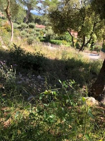 MAGNIFIQUE TERRAIN VUE MER