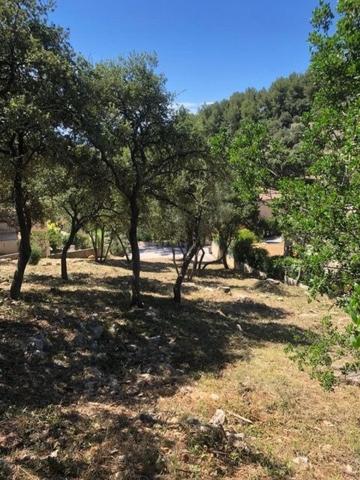 MAGNIFIQUE TERRAIN VUE MER