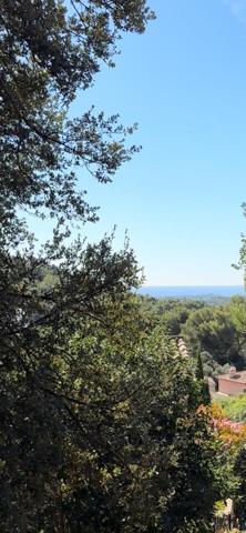 MAGNIFIQUE TERRAIN VUE MER