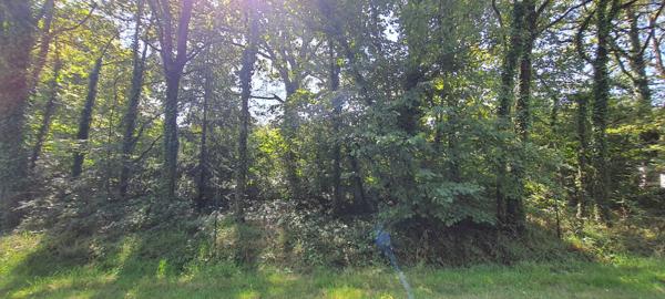 Terrain Malansac 1028 m²