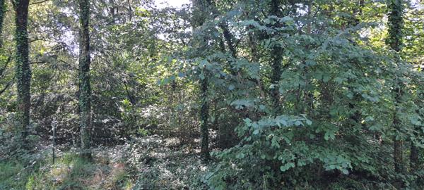 Terrain Malansac 1028 m²