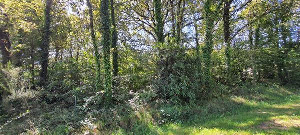 Terrain Malansac 1028 m²