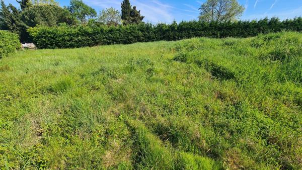 Terrain constructible 563M2 Aussonne au calme