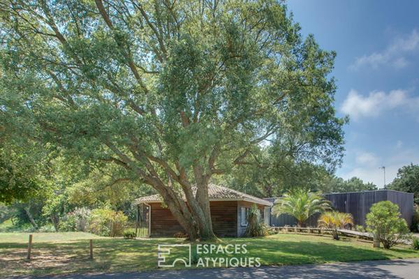 Villa d’architecte en lisière de forêt à 2 km des plages