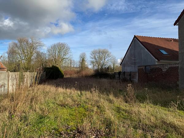 Terrain à vendre Licques (62850)