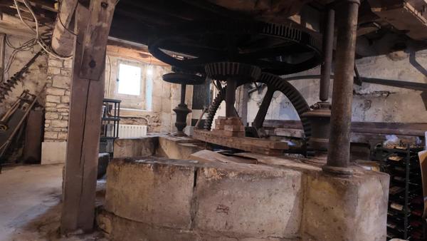 Vente Maison 13 pièces 545 m2 à Duvy