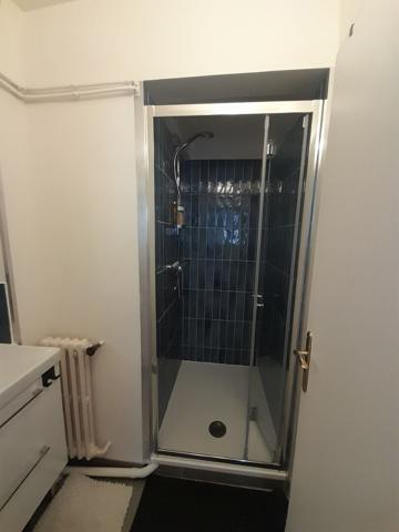 APPARTEMENT 3/4 PIÈCES MEUBLÉ EN CENTRE VILLE