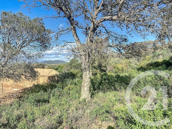Terrain à vendre  875 m2 PORTO VECCHIO - 201