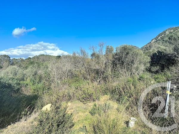 Terrain à vendre  875 m2 PORTO VECCHIO - 201