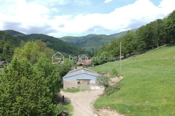 Terrain agricole de 30 000 m²