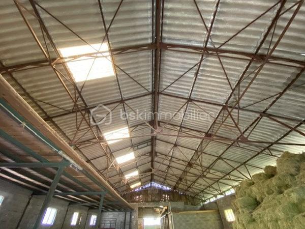 Terrain agricole de 30 000 m²