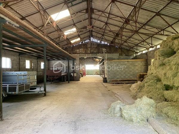 Terrain agricole de 30 000 m²