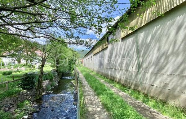 Terrain agricole de 30 000 m²