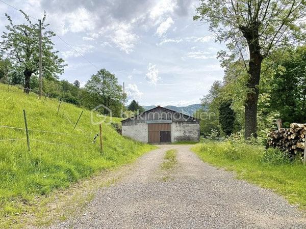 Terrain agricole de 30 000 m²