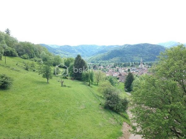 Terrain agricole de 30 000 m²