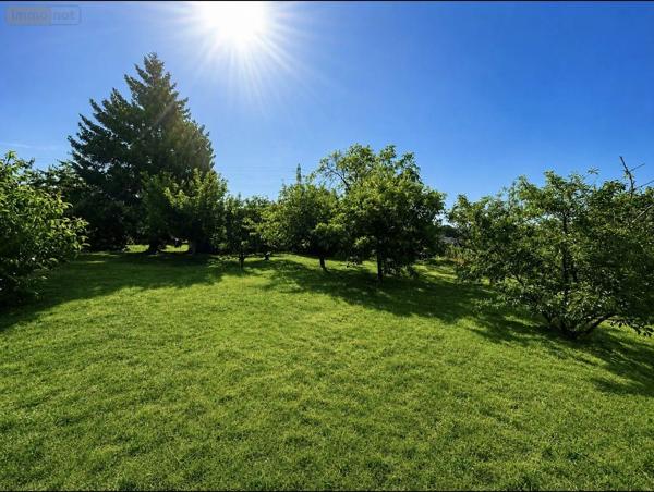 Achat - Terrain de loisirs, bois, étangs Allonnes 72700 807 m 2