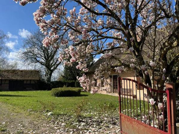 Maison à vendre à Louhans (71500)