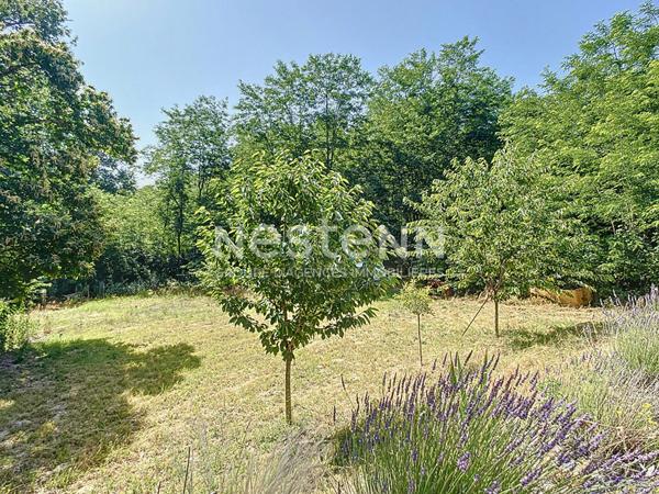 A vendre Maison de plain pieds 3 chambres avec piscine et parc de plus de 3000m²