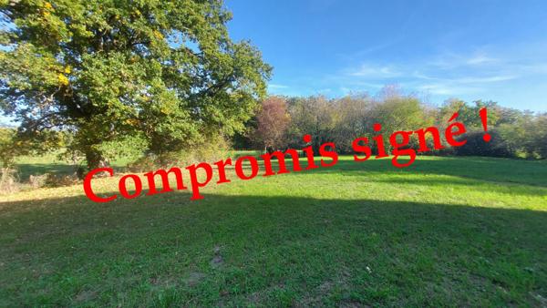 Orléat, bien atypique à vendre