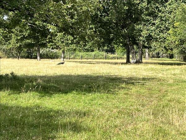 Terrain à vendre |  Choussy |  1592 m²