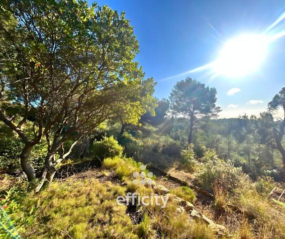 Maison 5 pièces - 128 m² Bien prestige