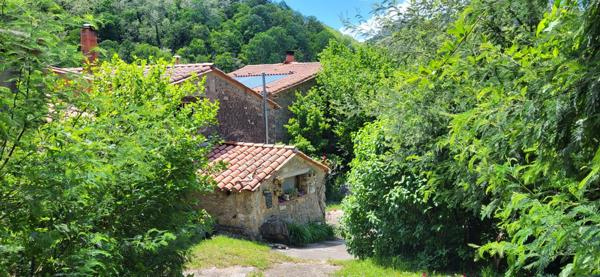 2 mas catalans avec gites