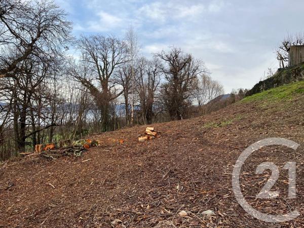 Terrain à vendre  1458 m2 MAXILLY SUR LEMAN - 74