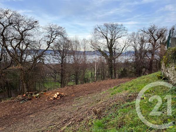 Terrain à vendre  1458 m2 MAXILLY SUR LEMAN - 74