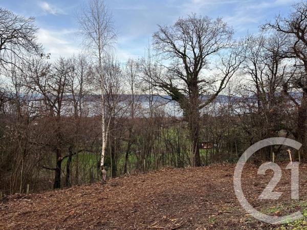 Terrain à vendre  1458 m2 MAXILLY SUR LEMAN - 74