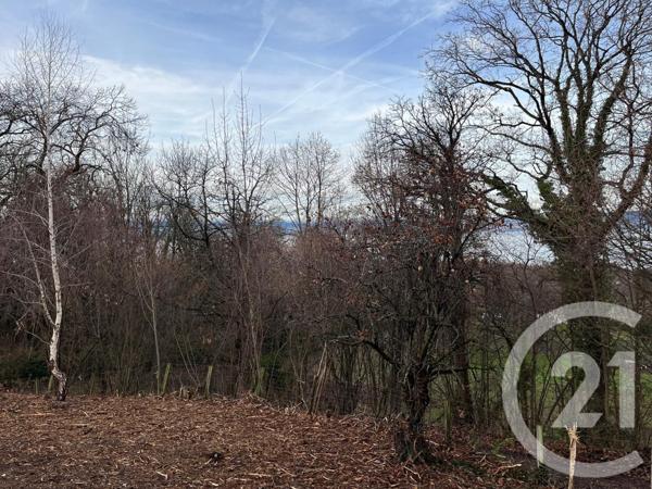 Terrain à vendre  1458 m2 MAXILLY SUR LEMAN - 74