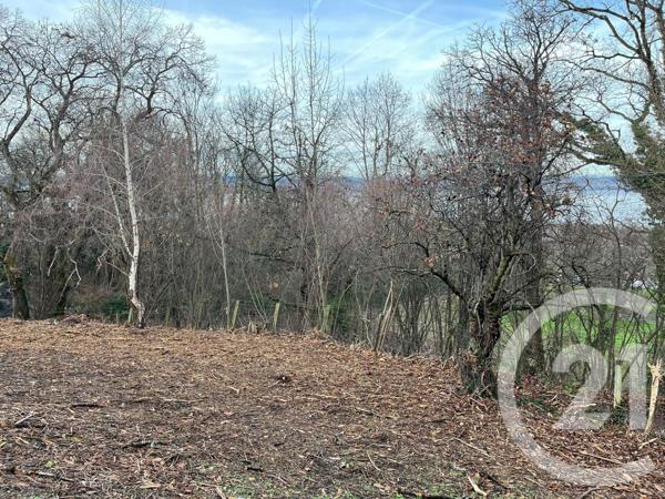 Terrain à vendre  1458 m2 MAXILLY SUR LEMAN - 74